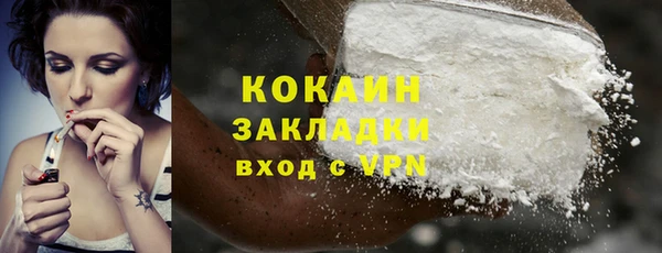 метадон Богданович