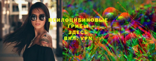 ГАЛЛЮЦИНОГЕННЫЕ ГРИБЫ Богородицк