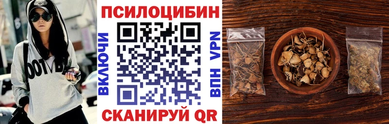 Псилоцибиновые грибы Psilocybine cubensis  где купить наркоту  Бодайбо 